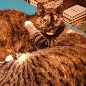 Meet your Posher, Michele